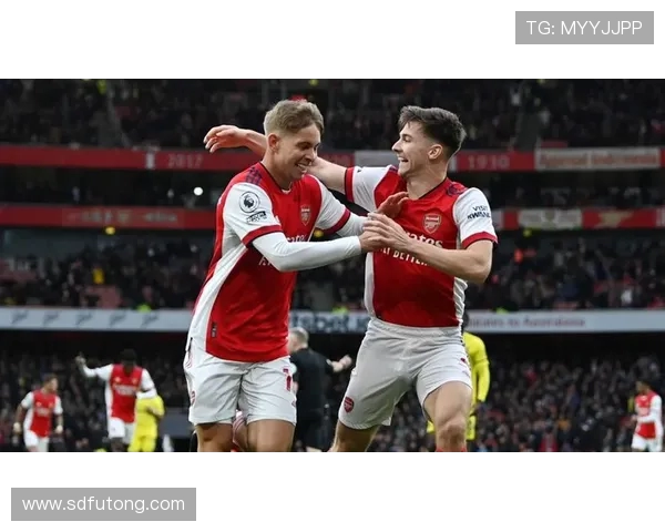 阿森纳与埃弗顿精彩对决下载指南及比赛回顾分析